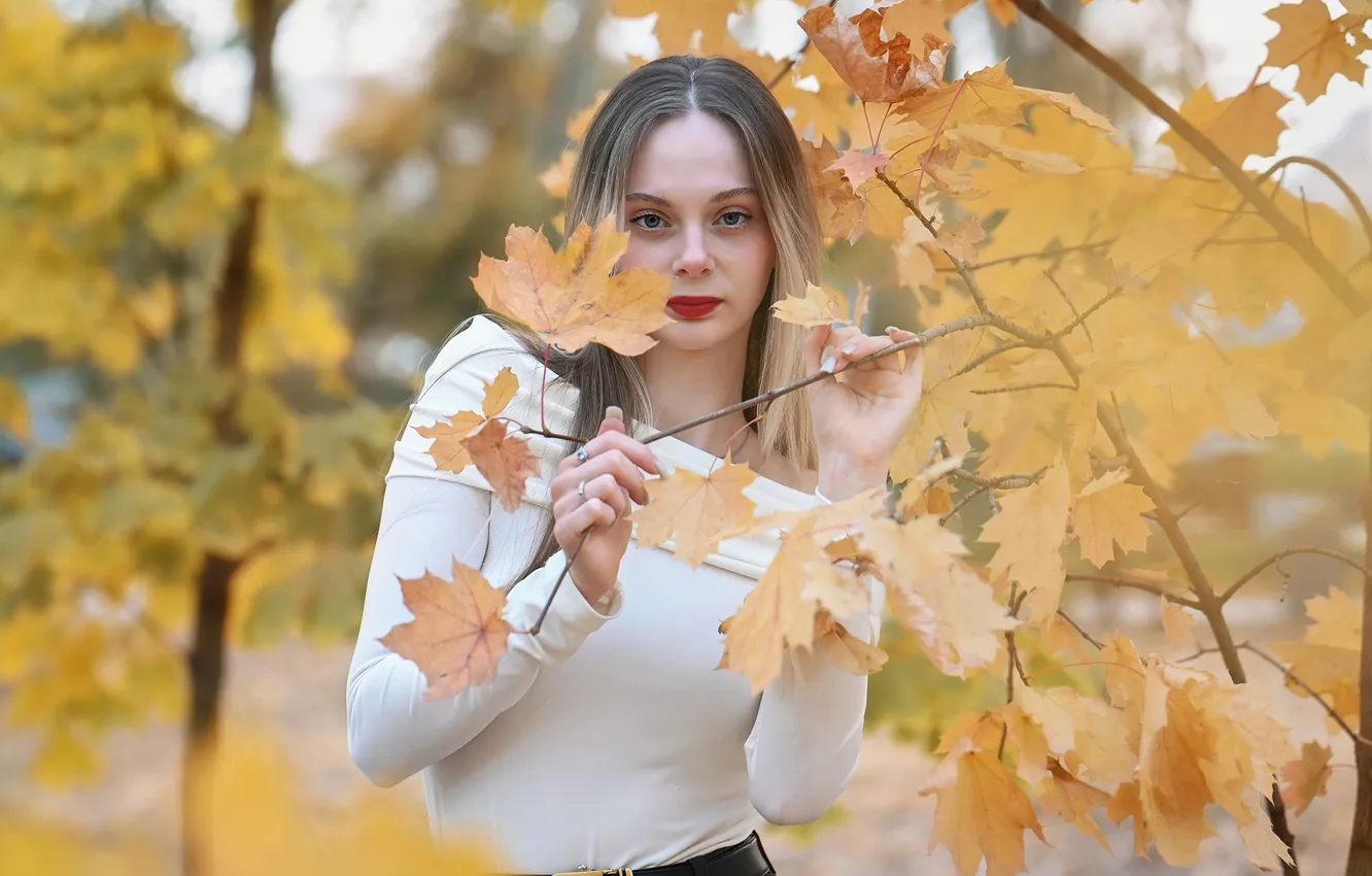 Photo wallpaper autumn, girl, face, sexy, Wallpaper, sweetheart, model, bright