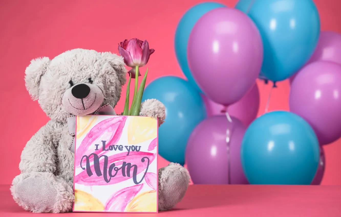 Photo wallpaper holiday, bear, postcard, women's day