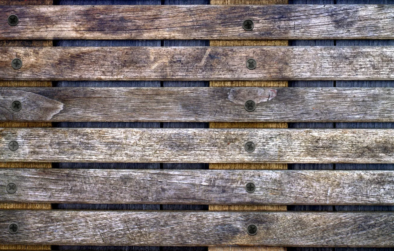 Photo wallpaper trees, bench, screws