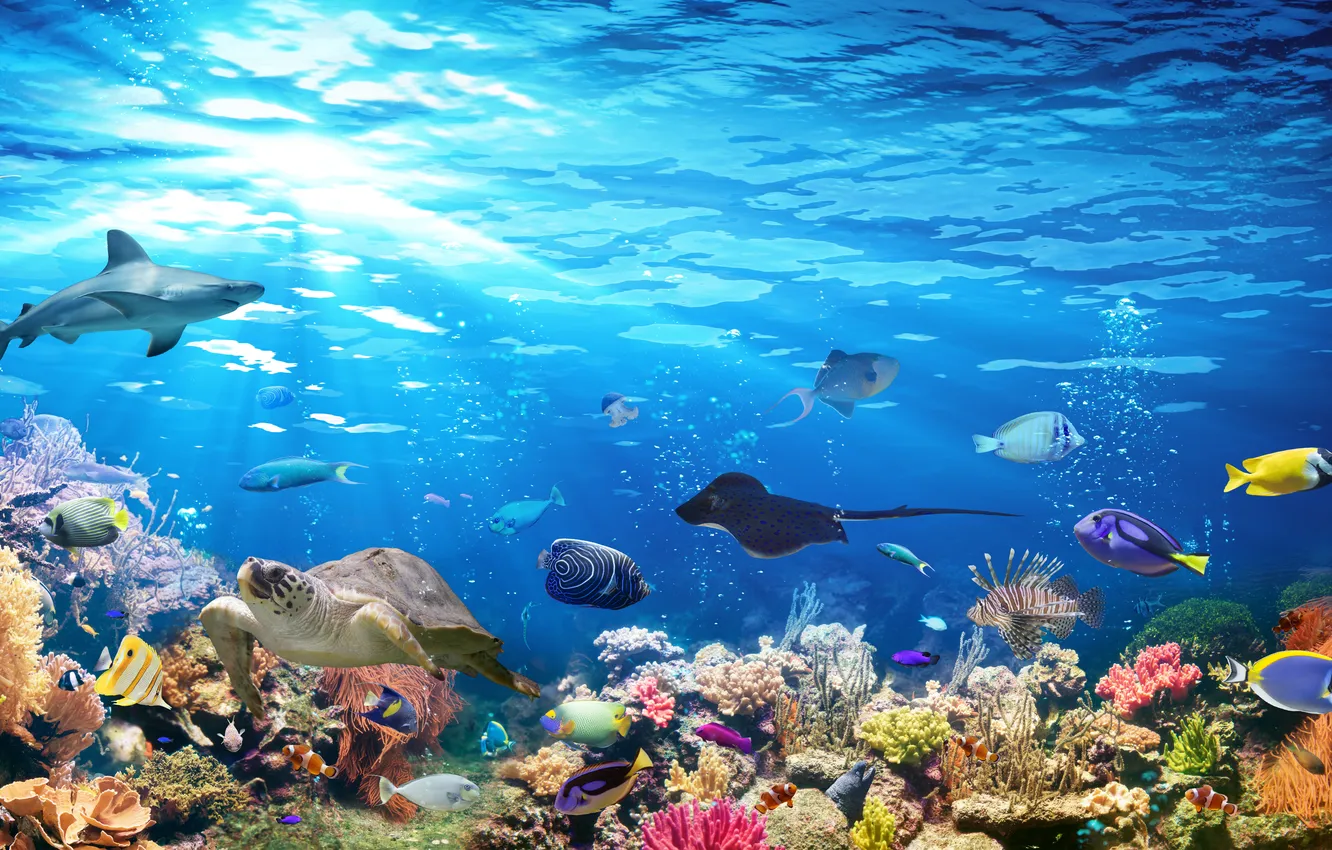 Photo wallpaper colorful, deep, blue, background, color, coral, aquarium, abyss