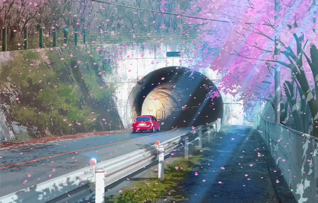 Photo wallpaper road, auto, the tunnel, flowering