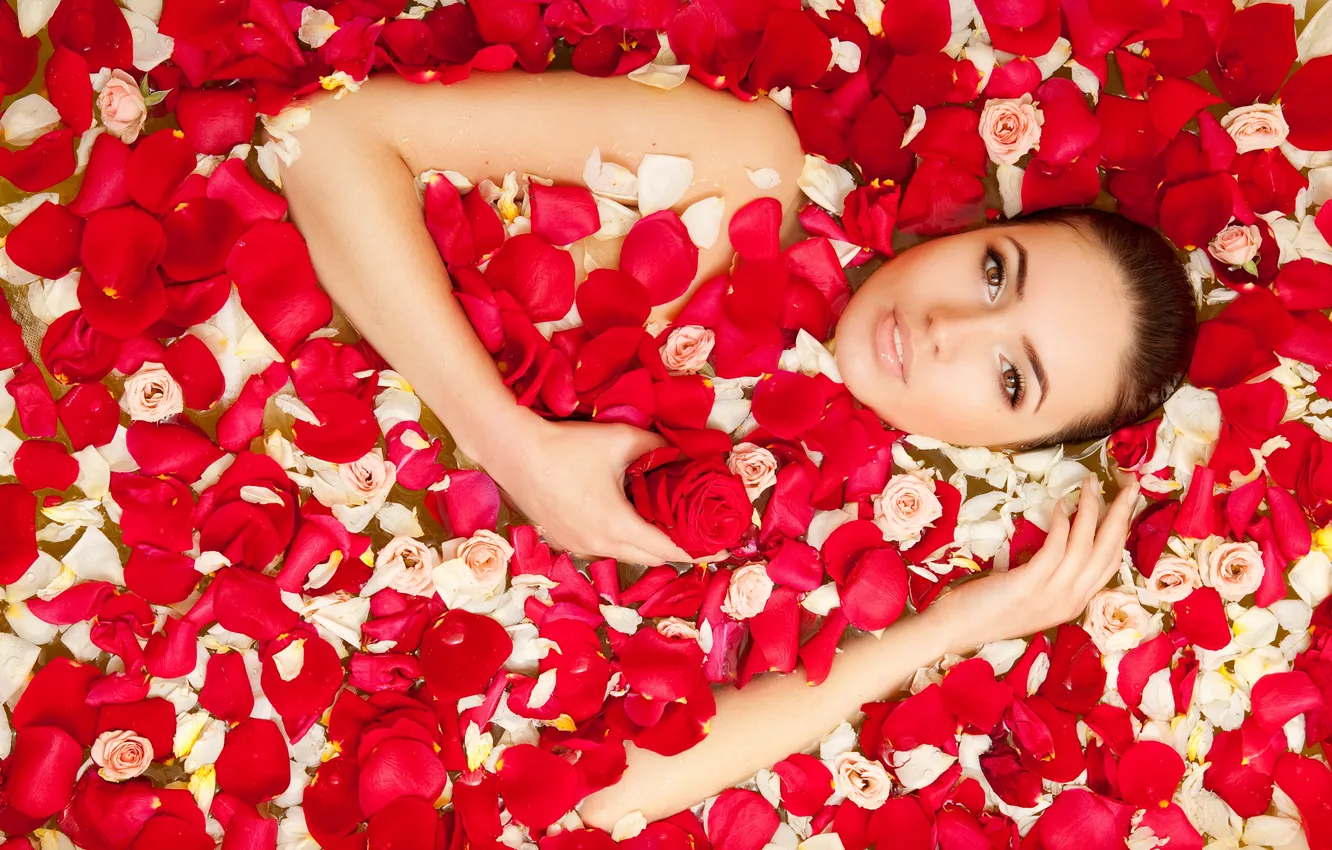 Photo wallpaper look, girl, roses, petals, brown hair, brown-eyed