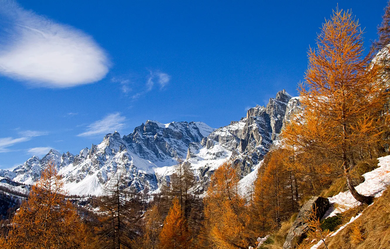 Photo wallpaper autumn, the sky, snow, trees, mountains