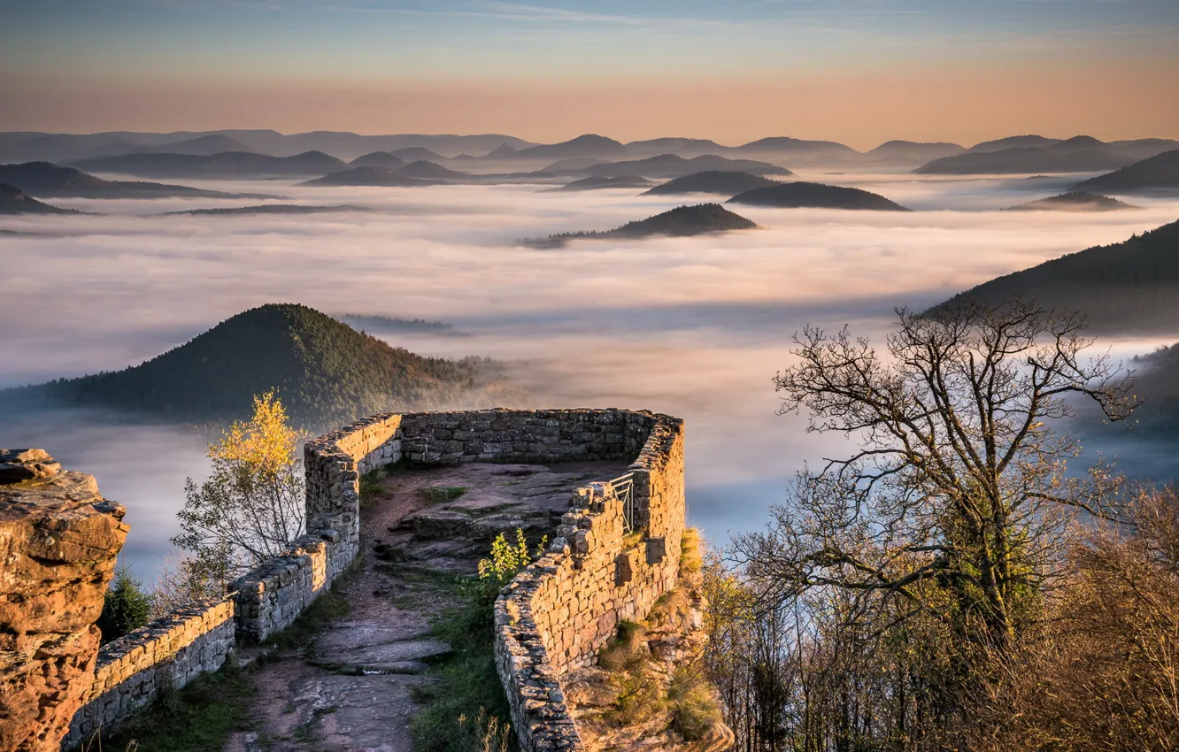 Photo wallpaper forest, mountains, fog, hills, sunrise, ruins, castle, mist