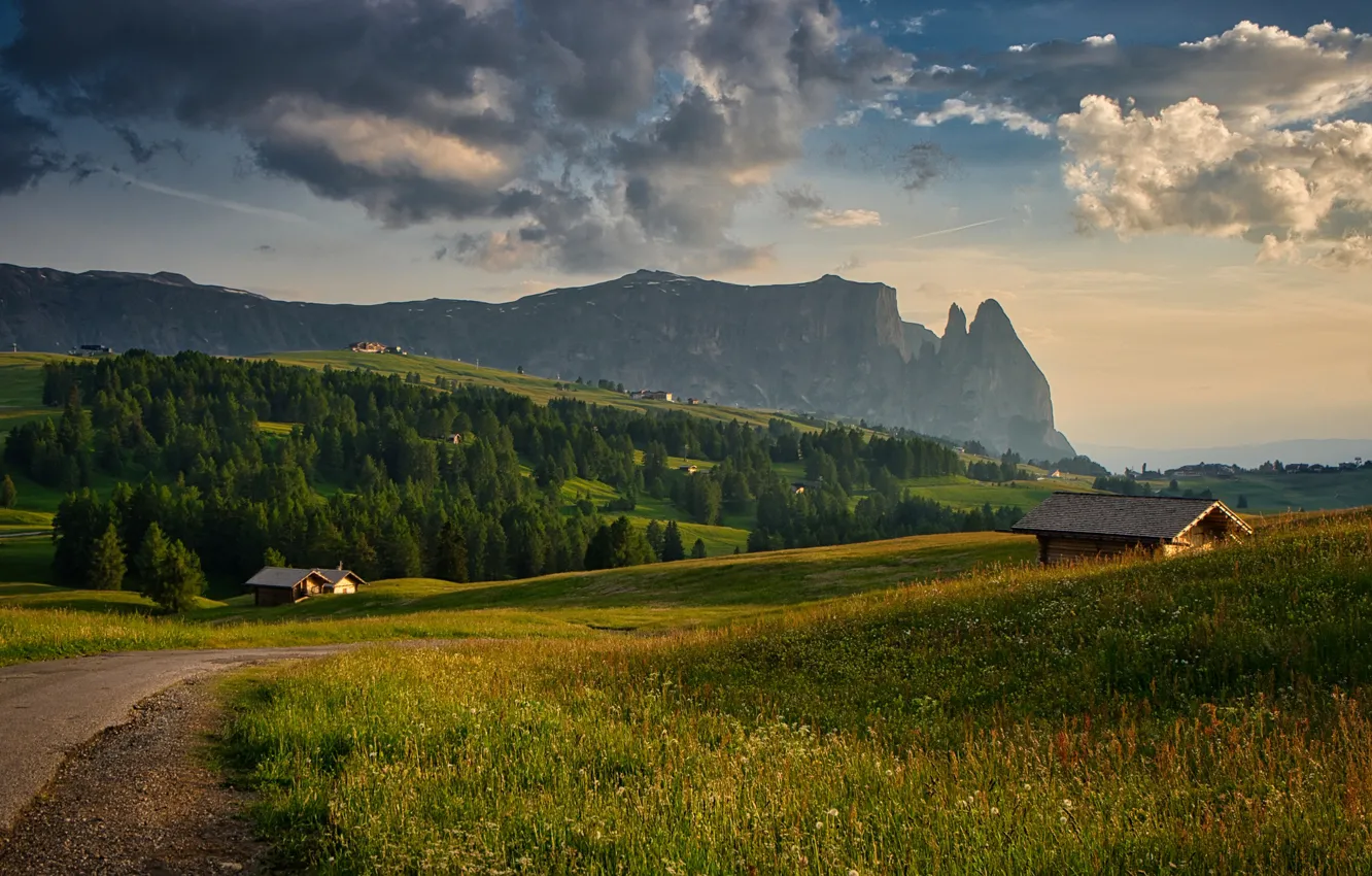 Photo wallpaper field, forest, the sky, grass, clouds, mountains, the slopes, Alps