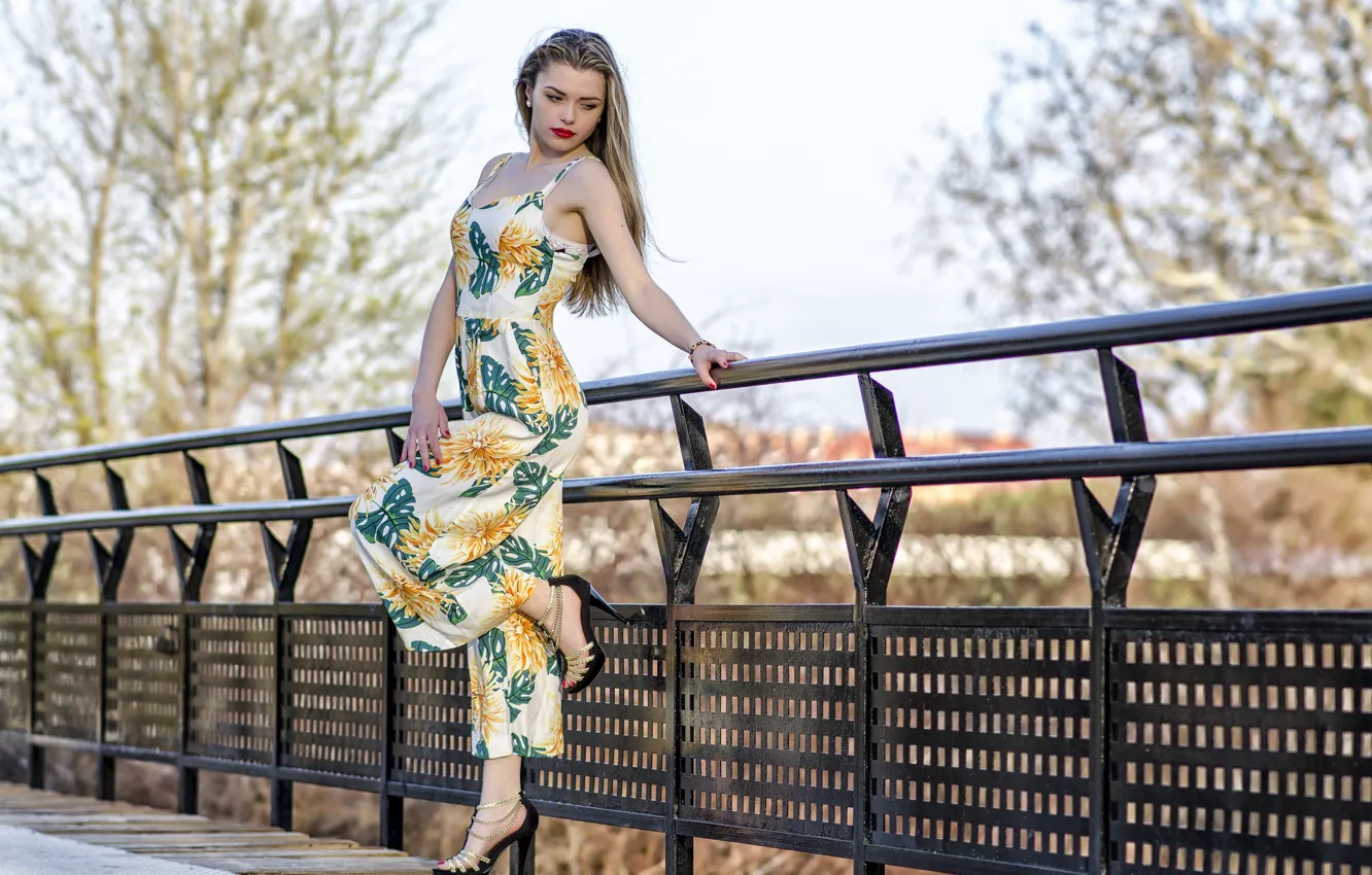 Photo wallpaper bridge, model, dress, railings, Aily