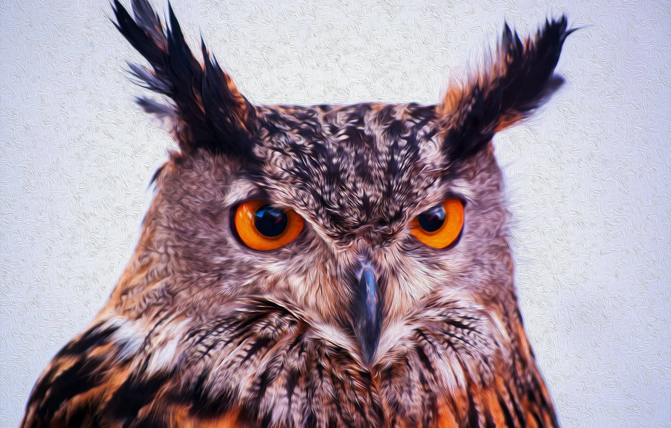 Photo wallpaper eyes, look, owl, ears, Pitz