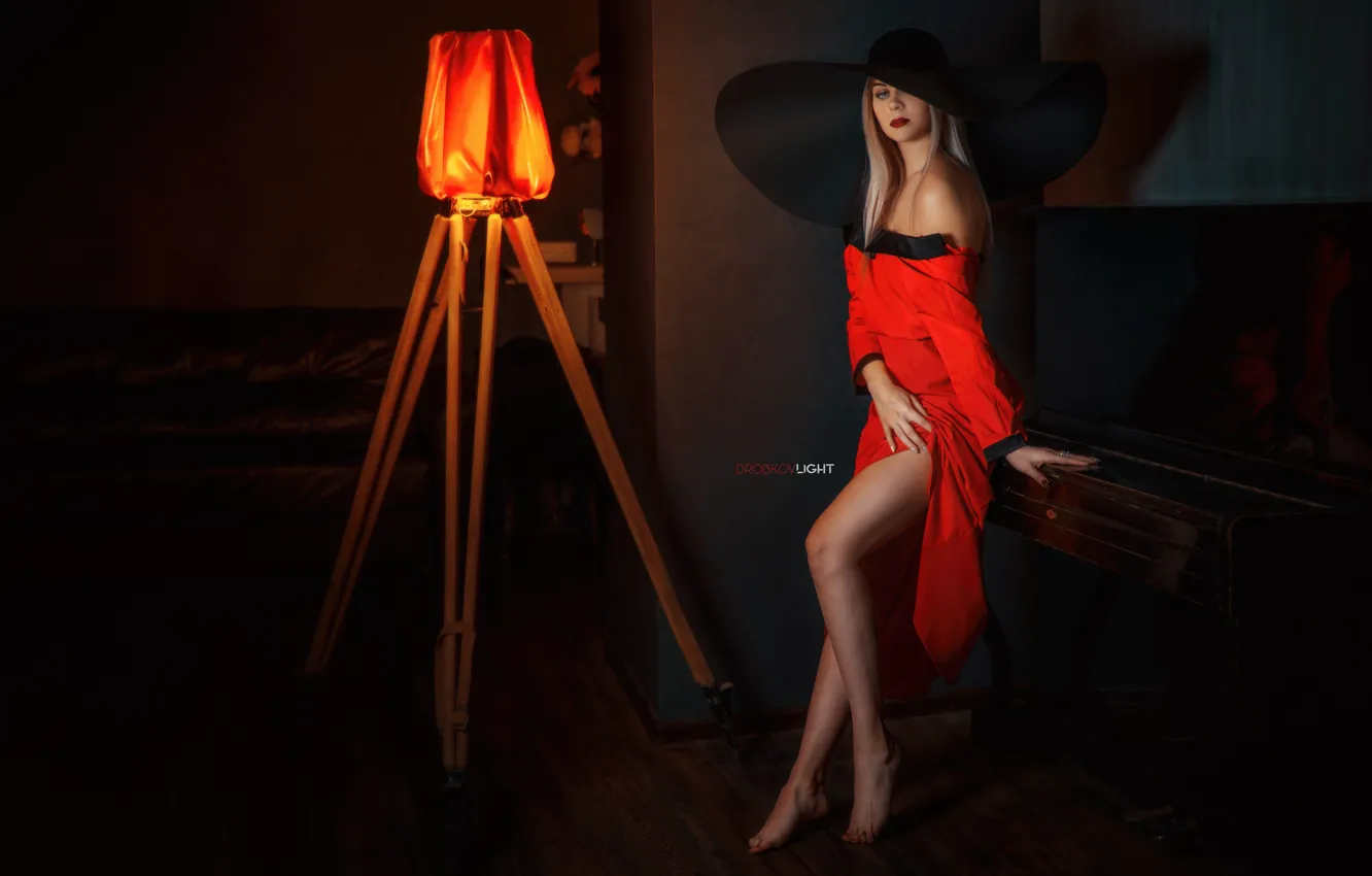 Photo wallpaper girl, pose, hat, dress, legs, neckline, Alexander Drobkov-Light, Carina Carina
