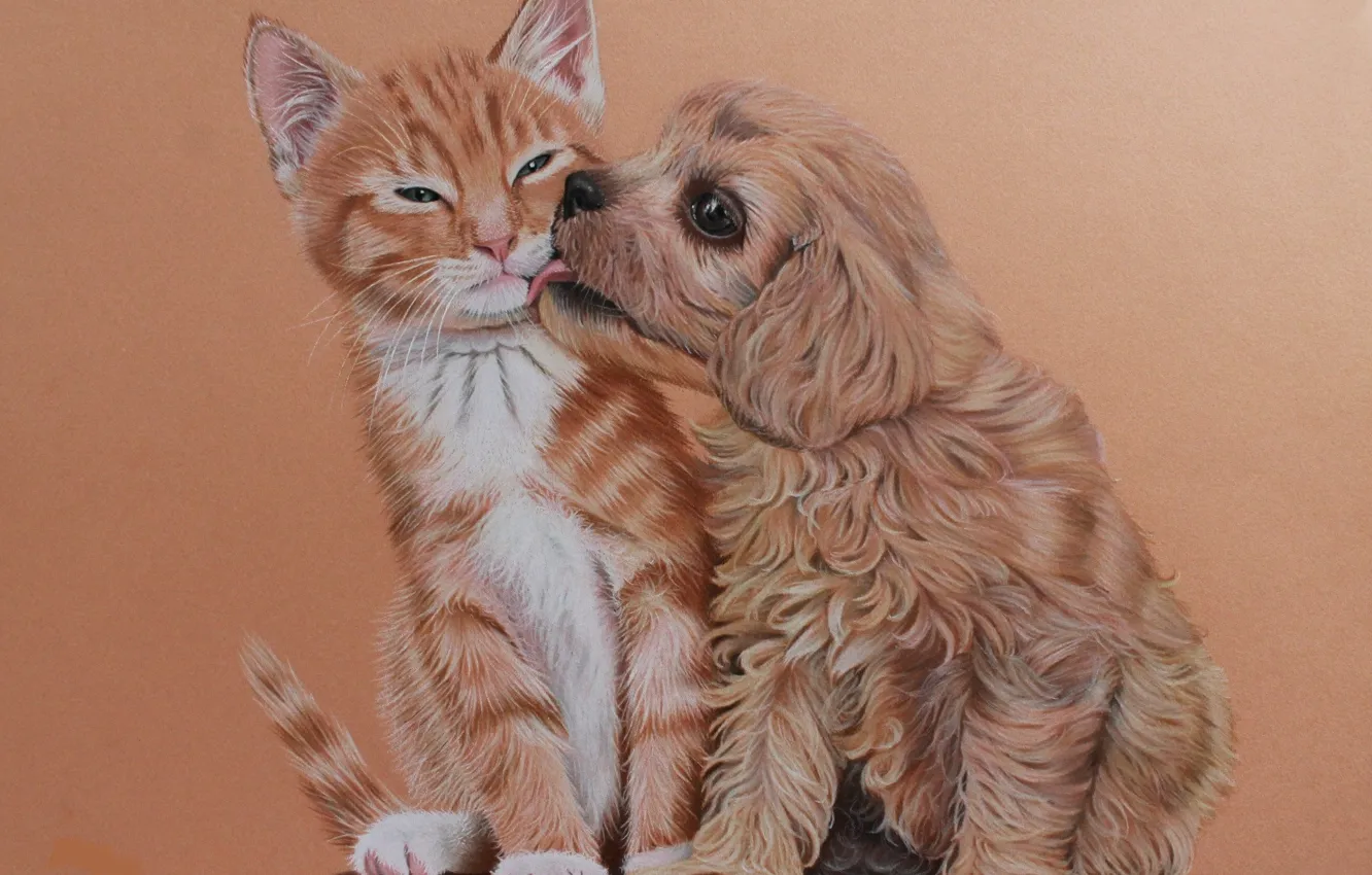 Photo wallpaper cat, background, figure, dog