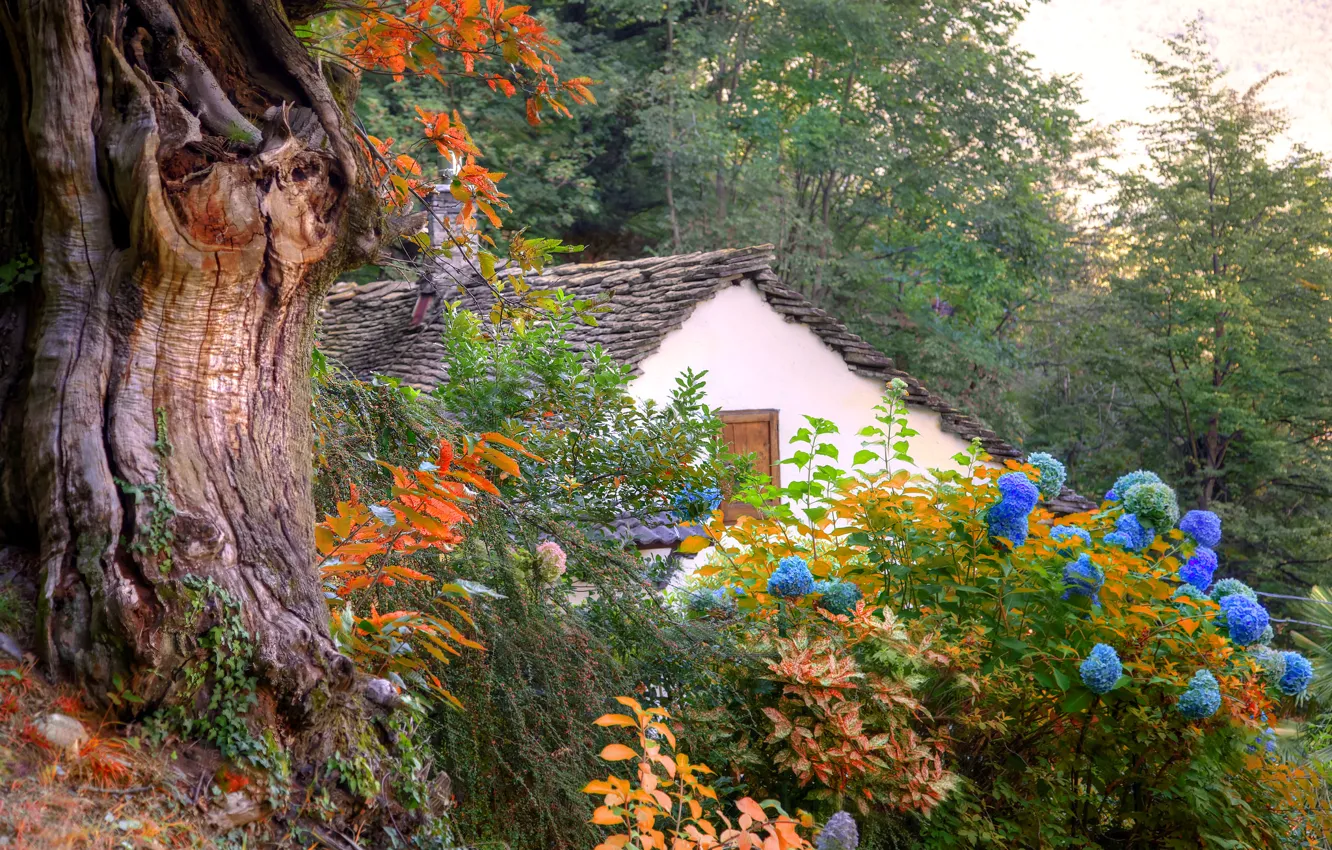 Photo wallpaper roof, trees, flowers, mountains, house