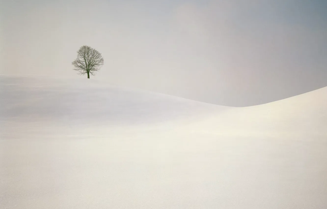 Photo wallpaper tree, hills, minimalism