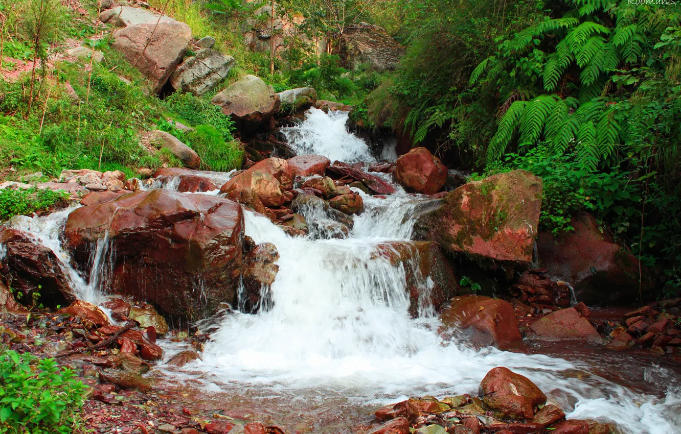 Photo wallpaper photography, nature, water, beautiful, scenery, natural