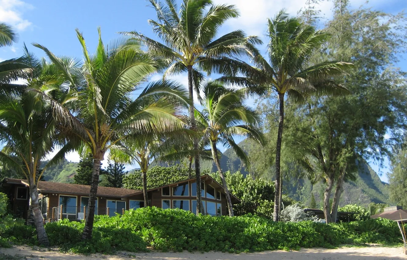 Photo wallpaper beach, summer, house, palm trees