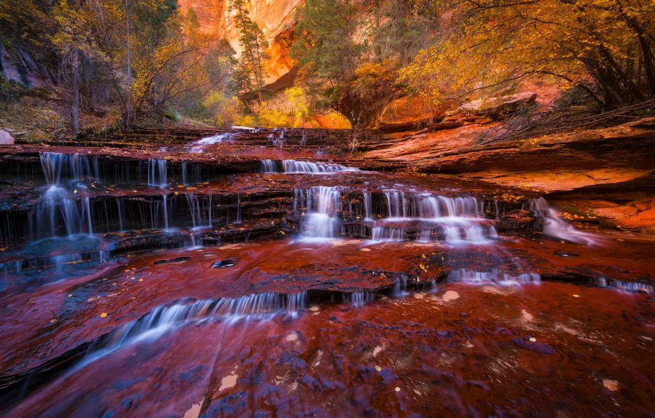 Photo wallpaper autumn, trees, river, stream, rocks, foliage, waterfall, stream