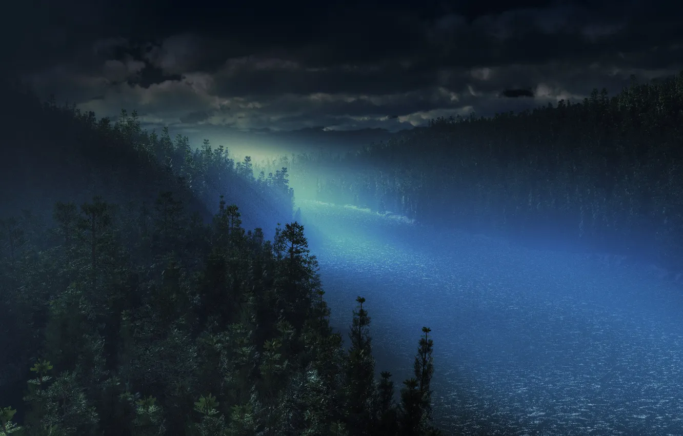 Photo wallpaper forest, night, river