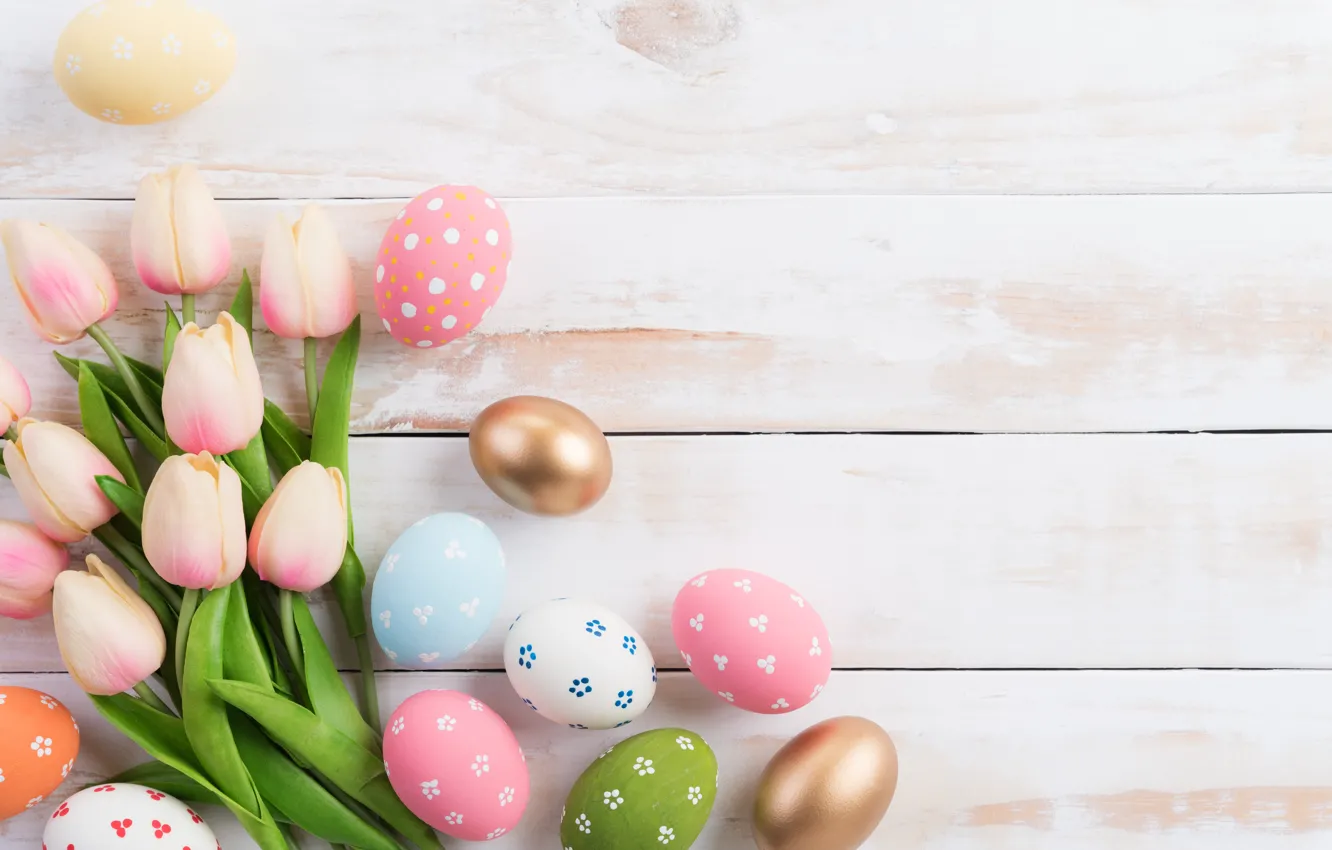 Photo wallpaper eggs, Easter, tulips, composition, egg