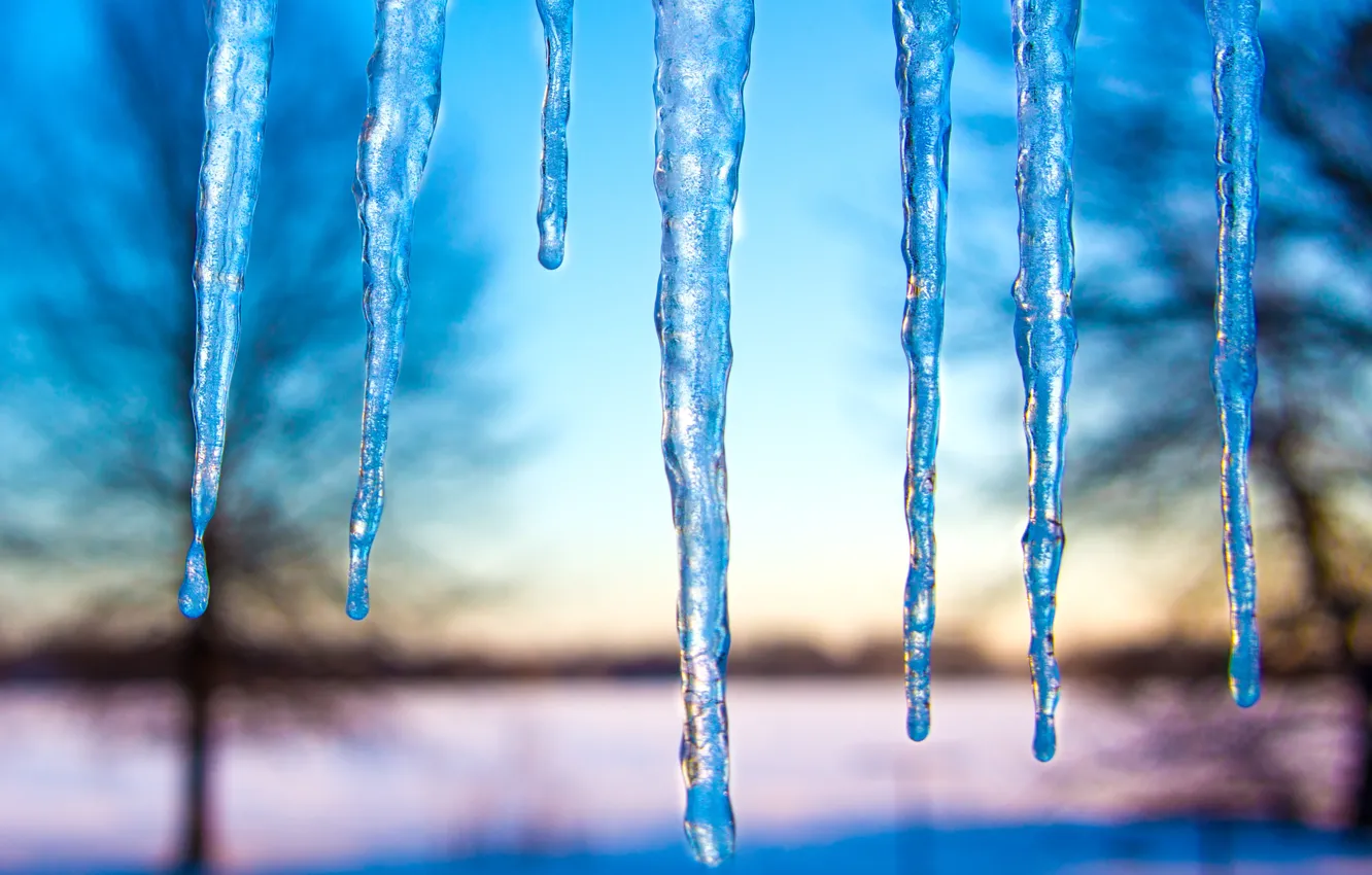 Photo wallpaper winter, the sky, trees, nature, ice, icicles, pond, blue background