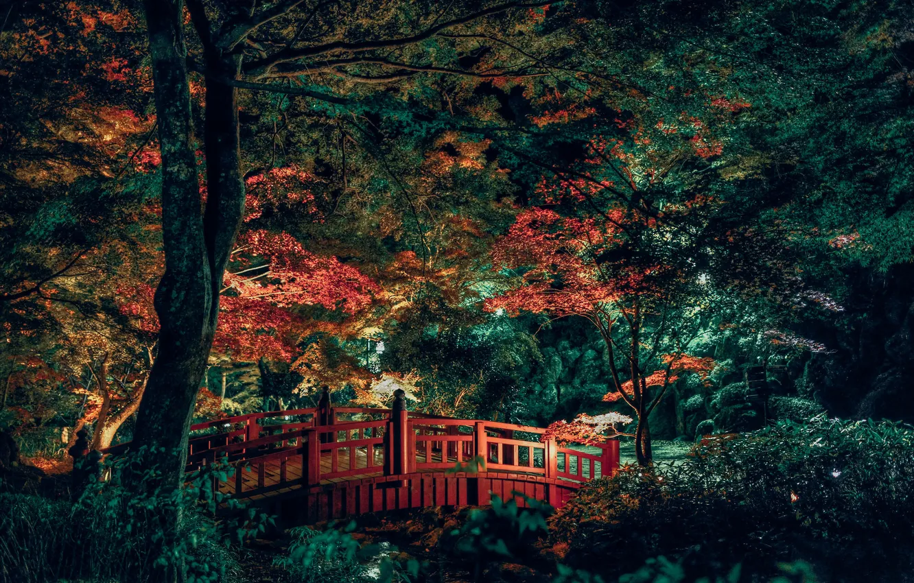 Photo wallpaper trees, bridge, stream, garden