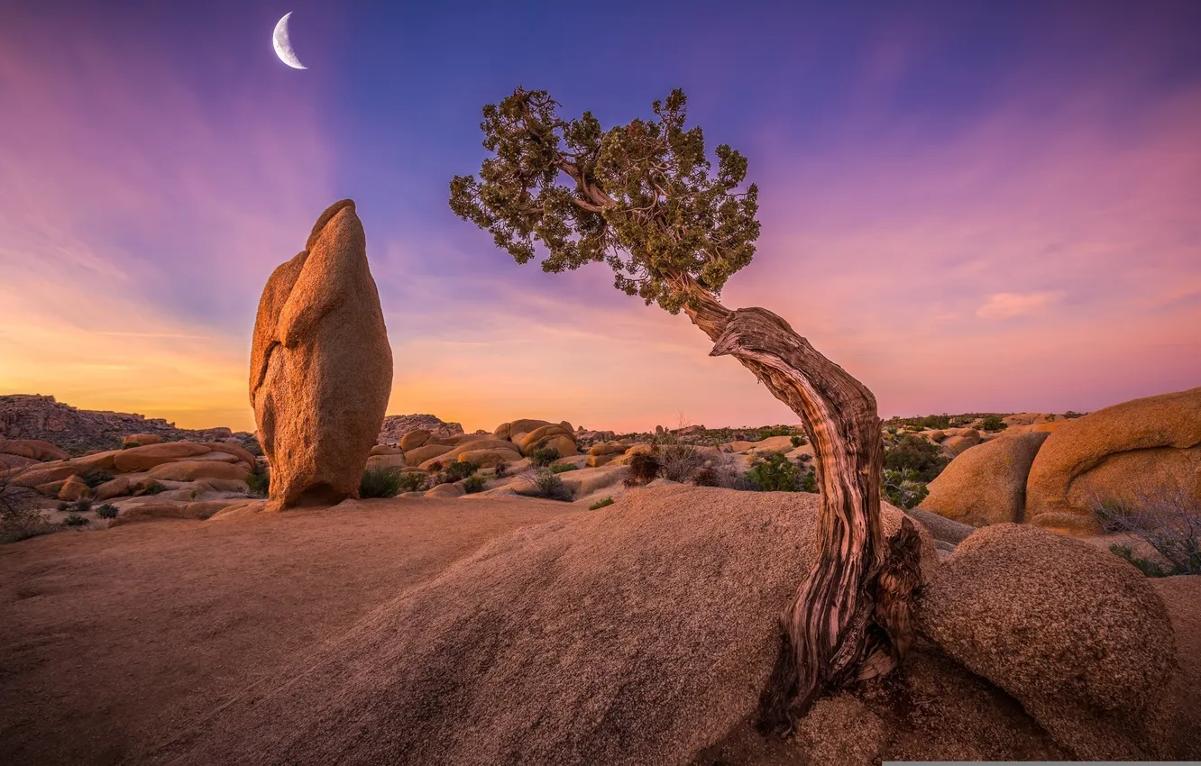 Photo wallpaper the sky, nature, stones, photo, the moon, a month, the evening, CA