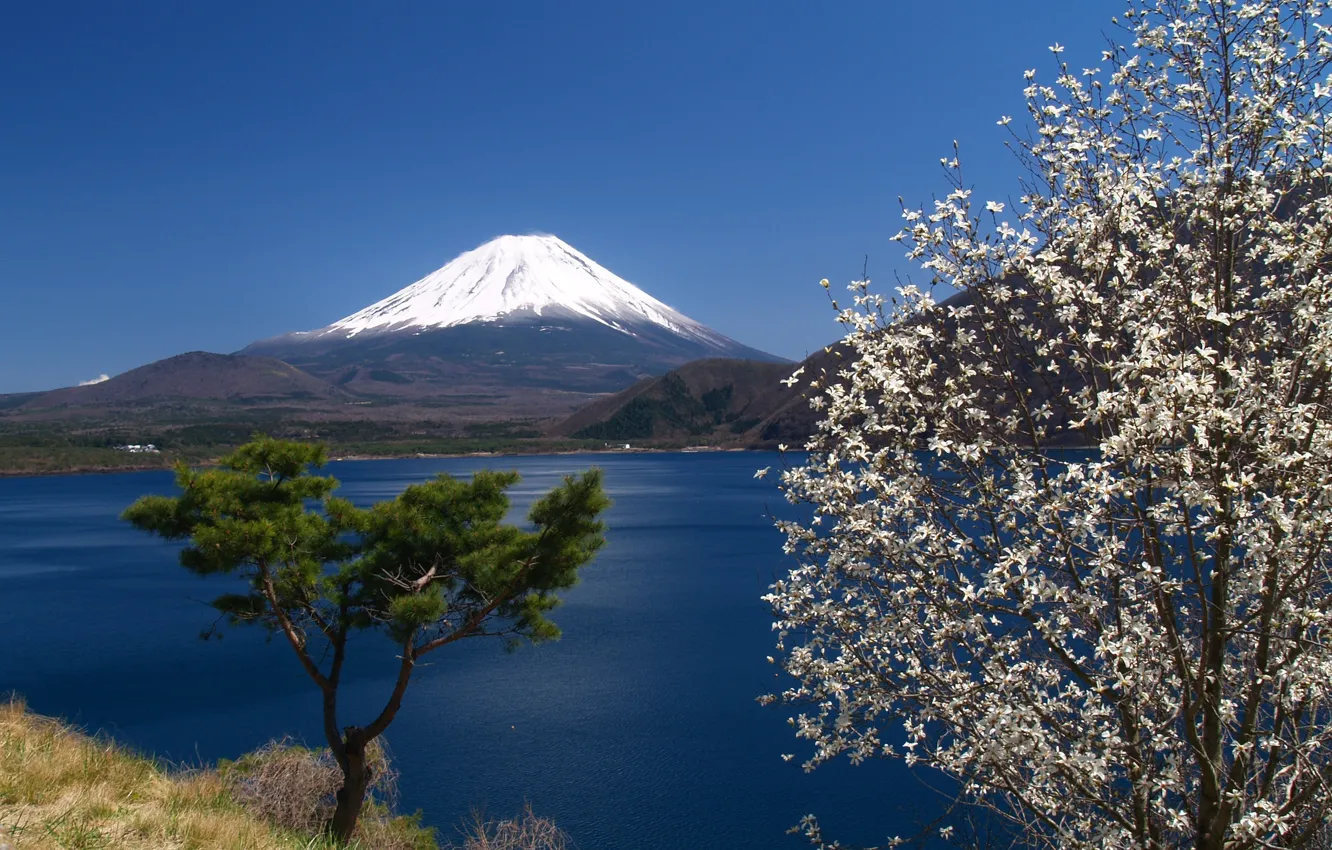Photo wallpaper the sky, mountains, Japan, Sakura, Fuji