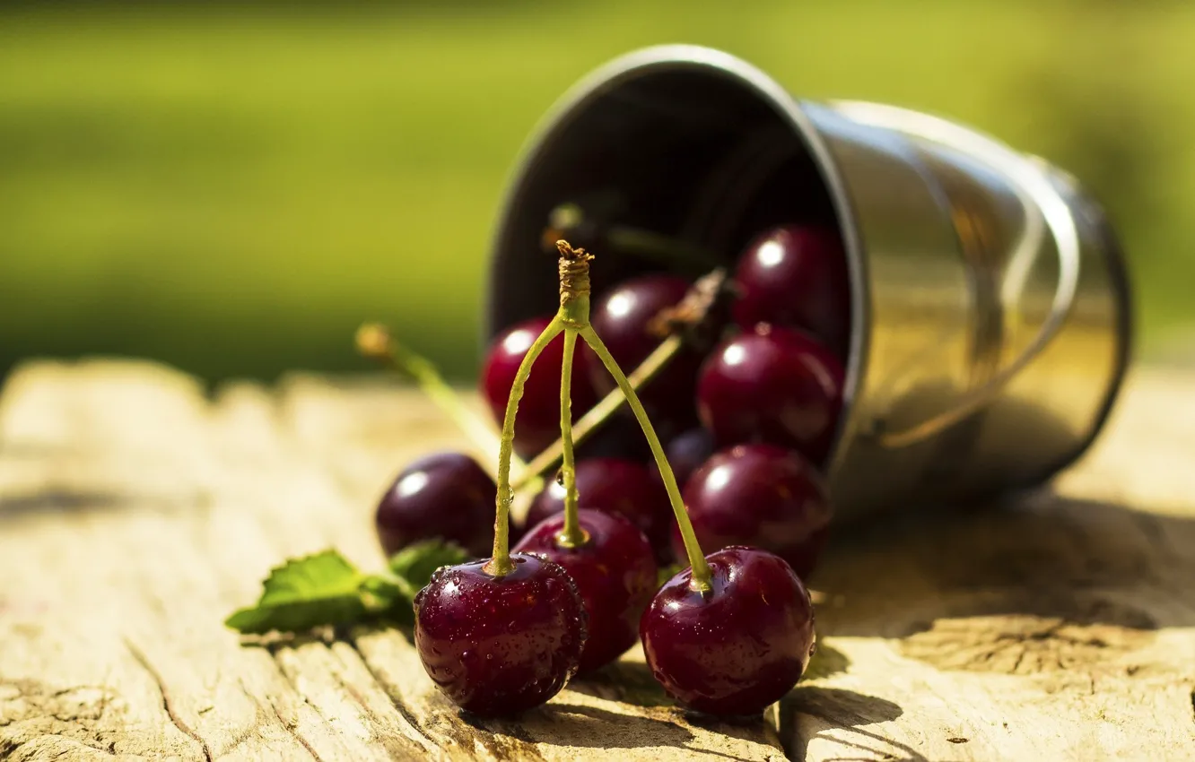 Photo wallpaper macro, berries, cherry, juicy, bucket, sweet