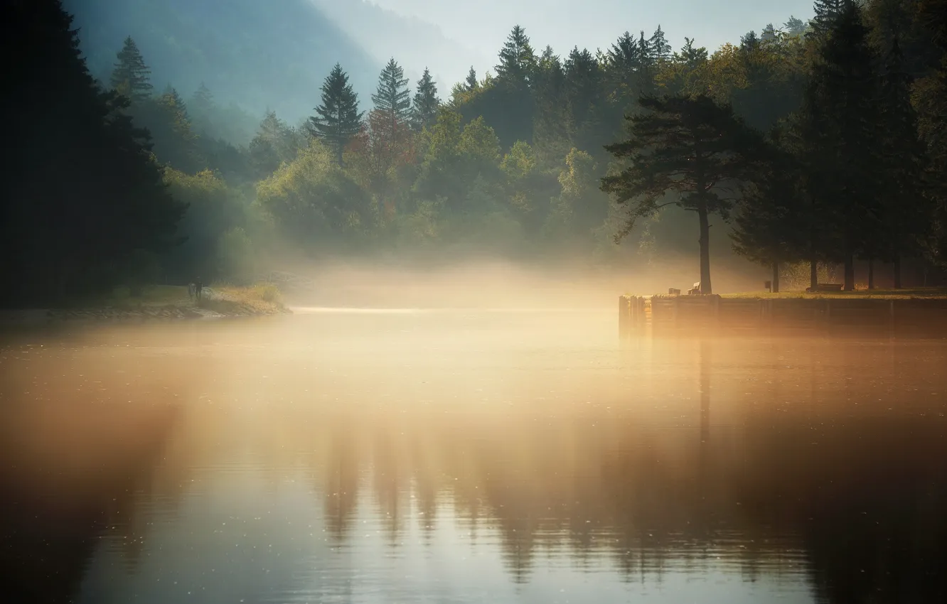 Photo wallpaper forest, fog, lake, morning