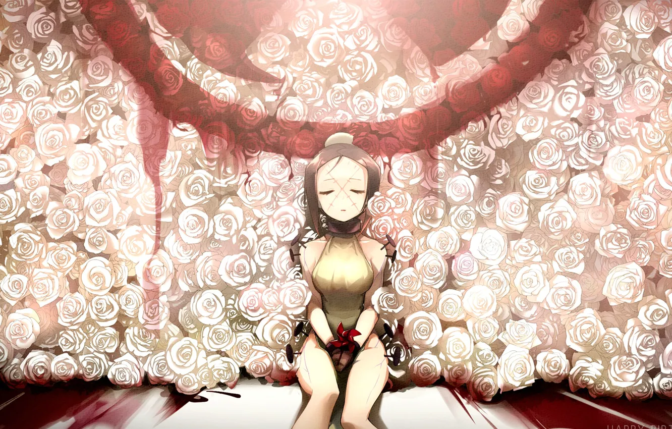 Photo wallpaper girl, roses, Skullgirls