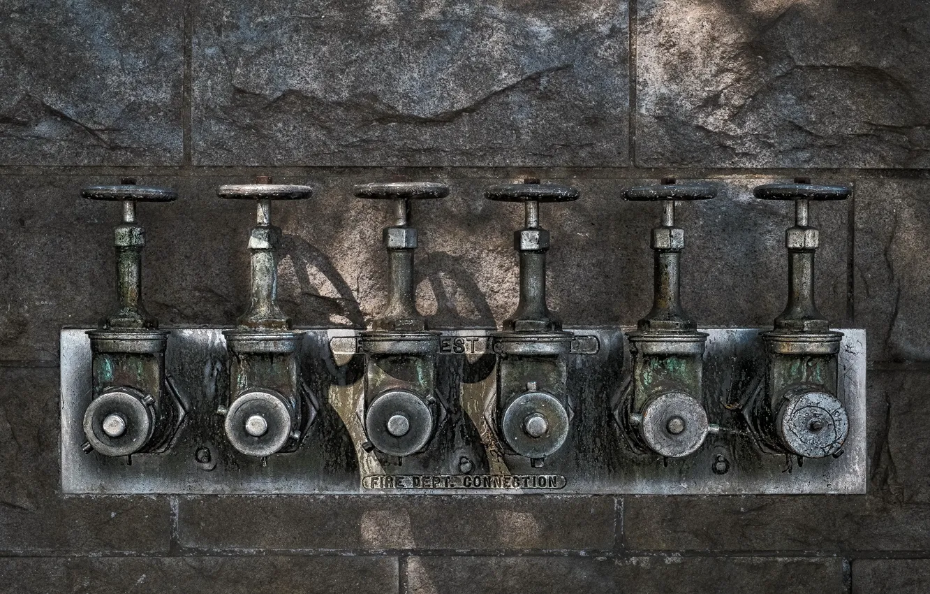 Photo wallpaper macro, background, valves