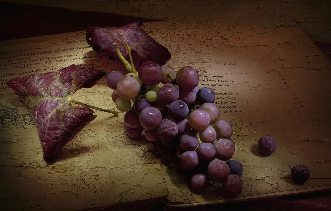 Photo wallpaper berries, texture, grapes, bunch, book, vintage