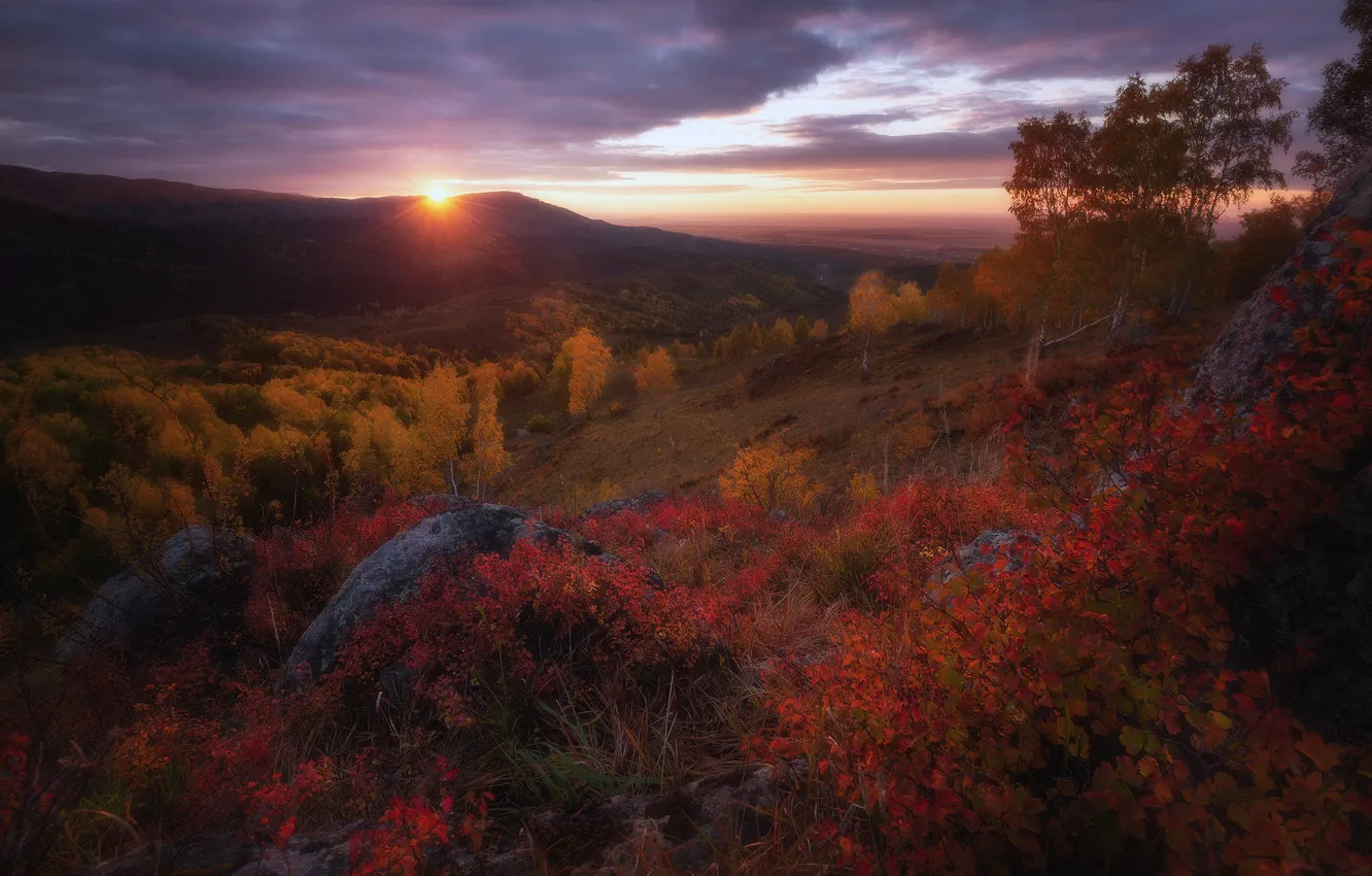 Photo wallpaper autumn, forest, the sky, bright colors, the sun, clouds, landscape, sunset