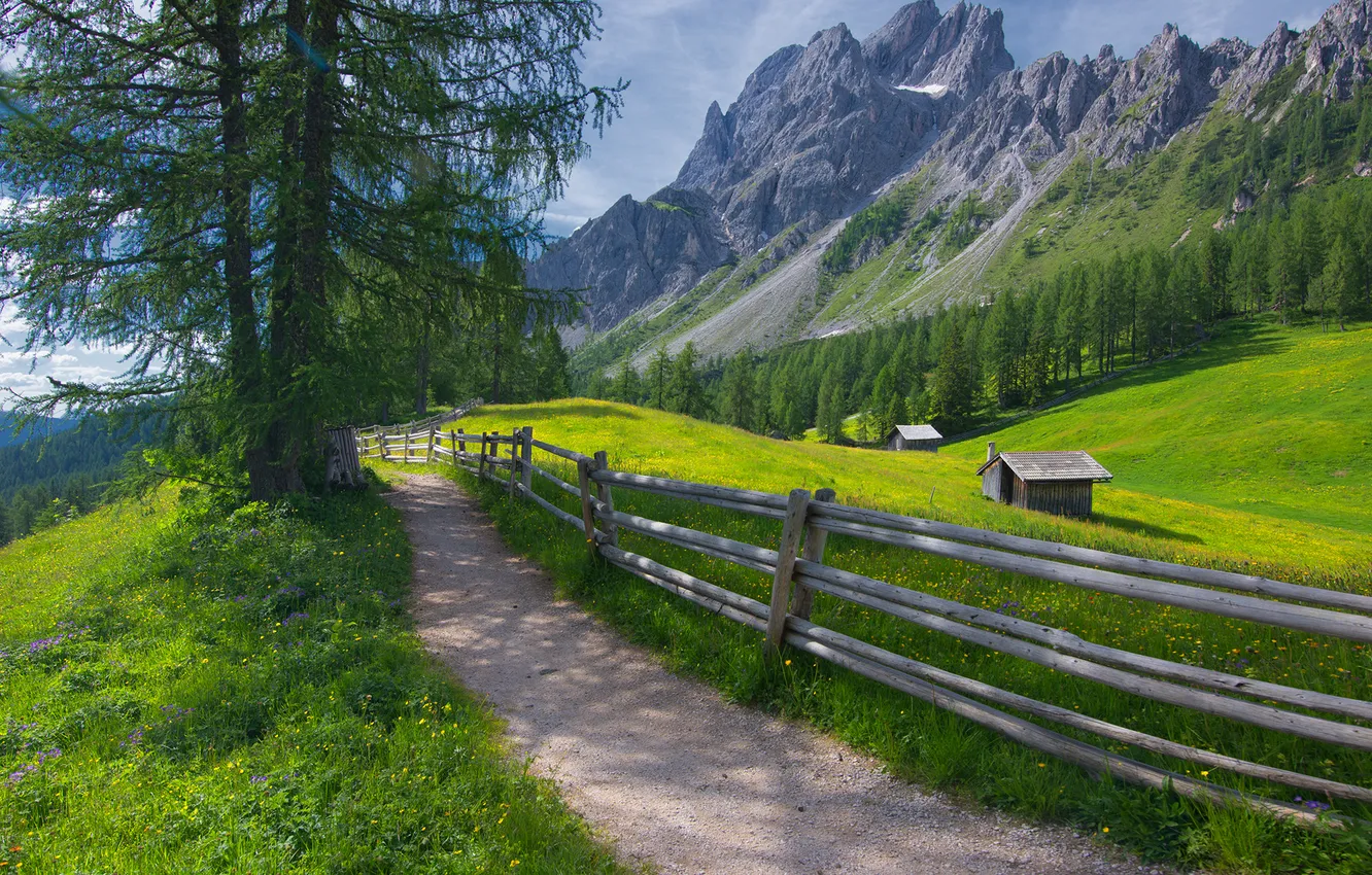 Photo wallpaper road, greens, field, forest, grass, light, trees, mountains