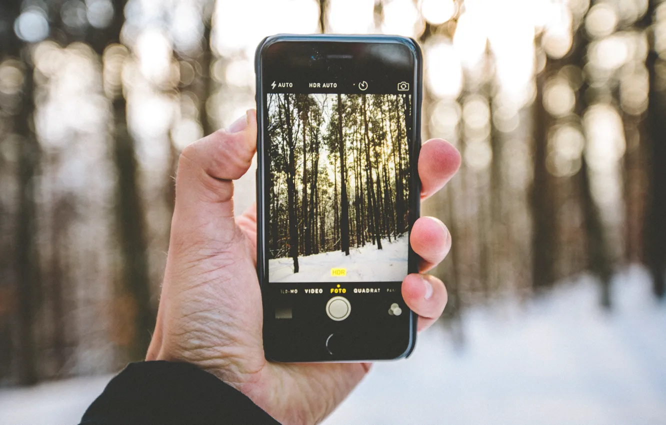 Photo wallpaper winter, forest, snow, trees, landscape, iPhone, hands, photos
