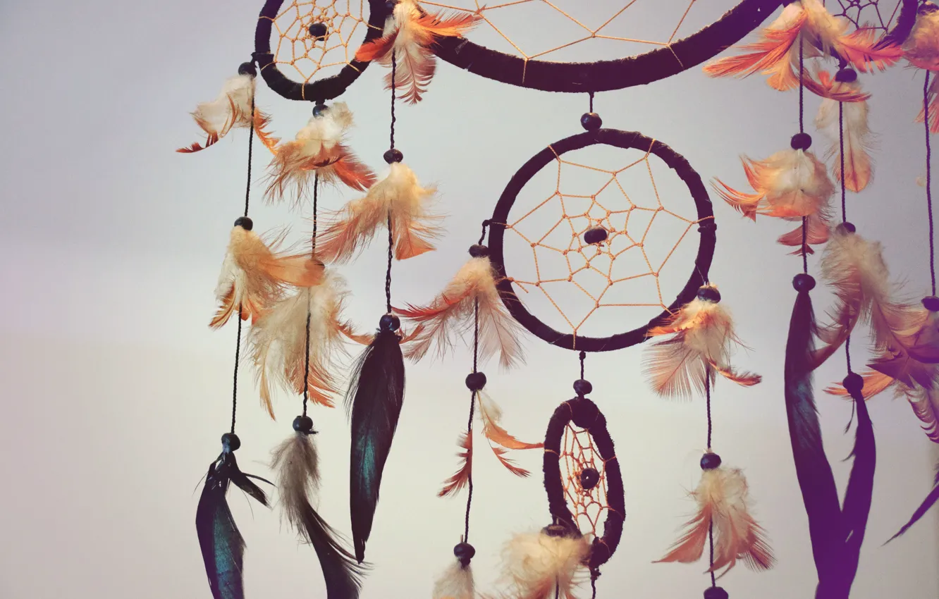 Photo wallpaper feathers, amulet, Dreamcatcher