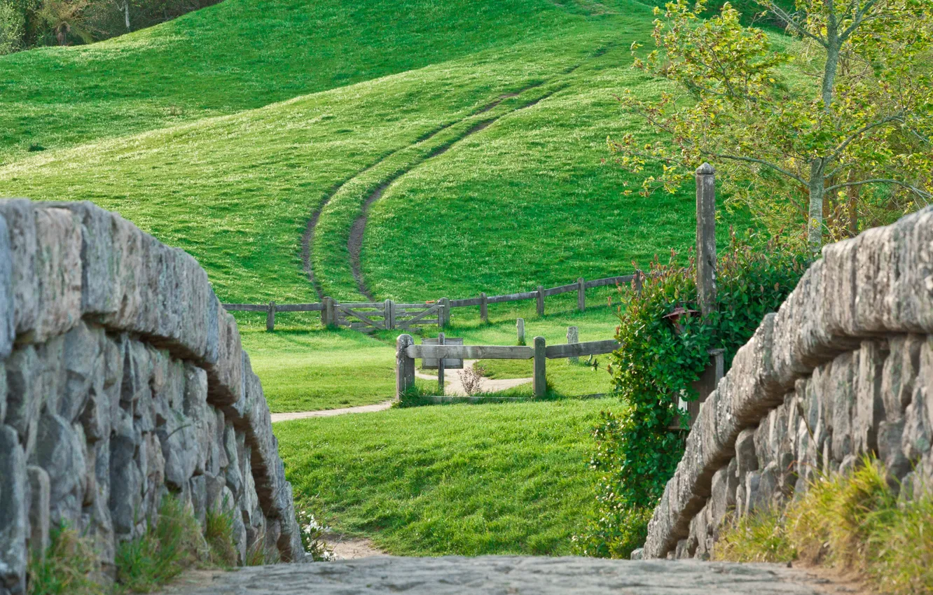 Photo wallpaper wall, grass, road, landscape, nature, tree, hill, stones
