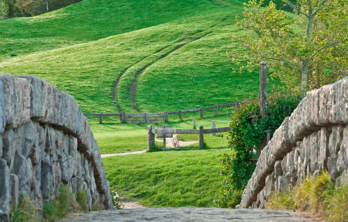Photo wallpaper wall, grass, Nature, road, landscape, tree, hill, stones