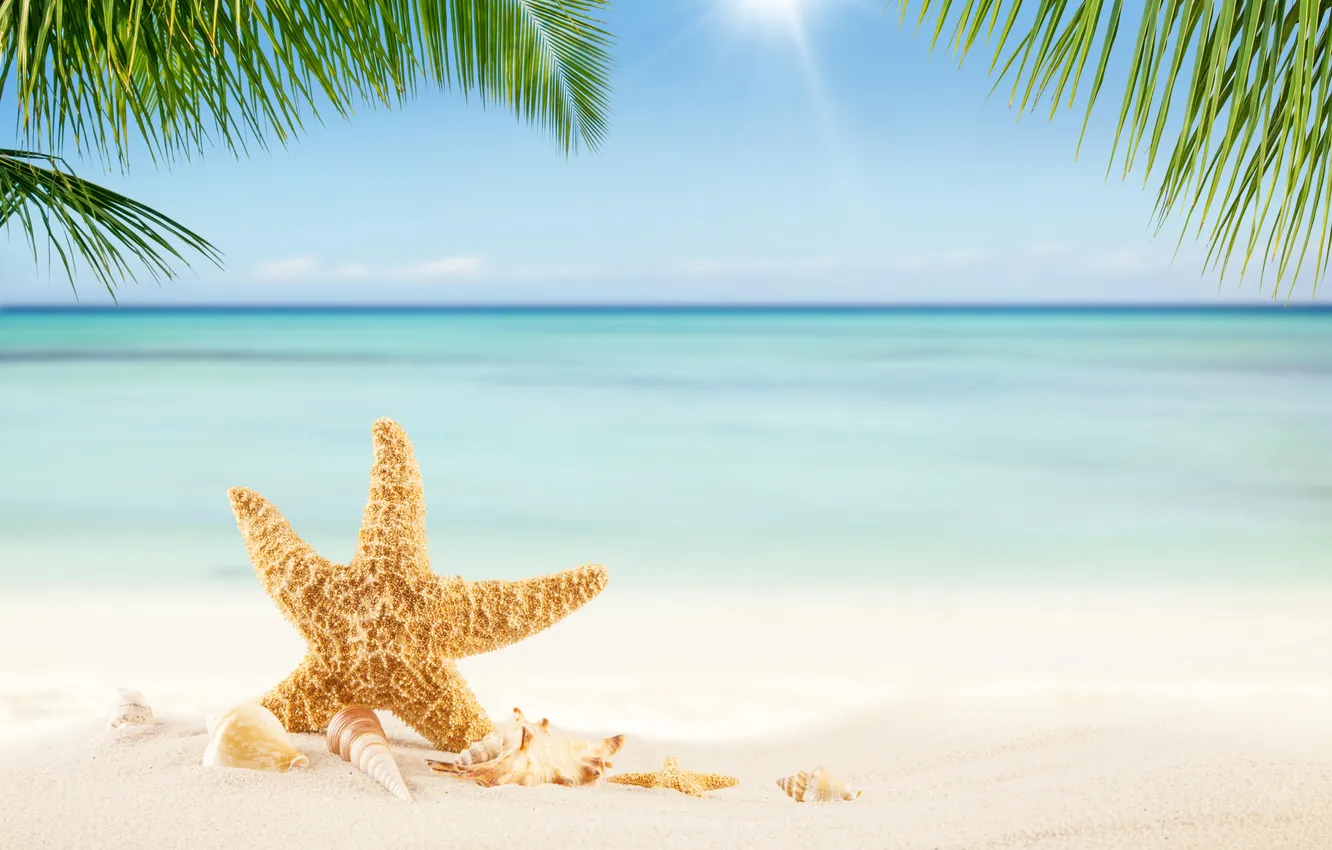 Photo wallpaper sand, sea, wave, beach, summer, the sky, stars, palm trees