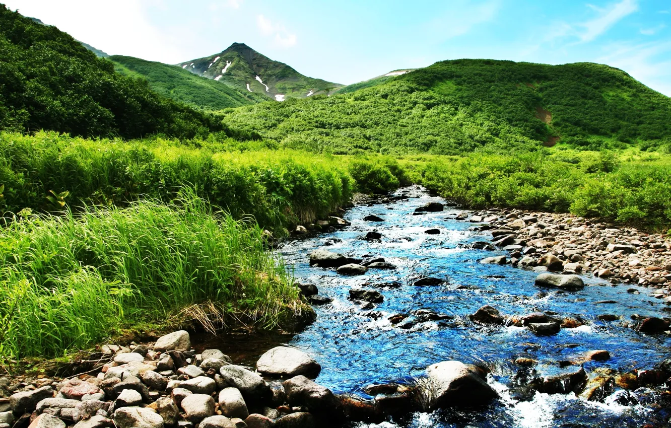 Photo wallpaper greens, summer, mountains, nature, river, stream