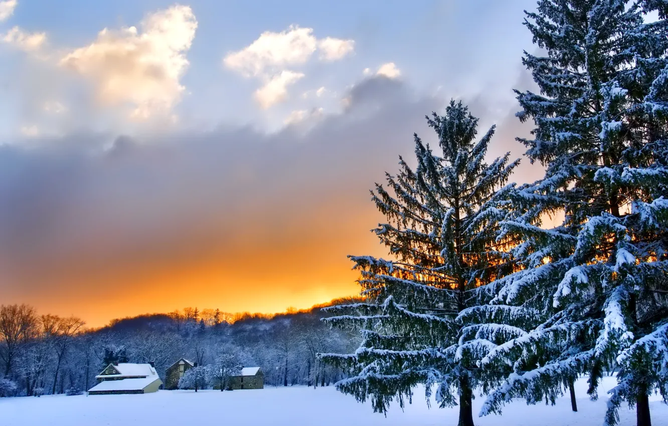 Photo wallpaper winter, the sky, clouds, snow, trees, landscape, sunset, nature