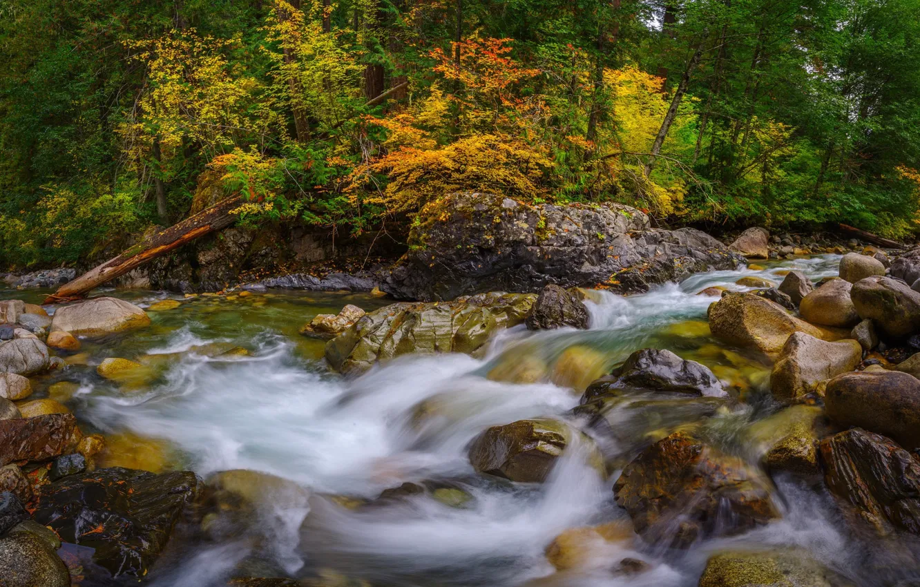 Photo wallpaper autumn, river, stones, for