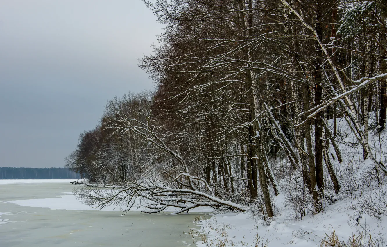 Photo wallpaper ice, winter, trees, lake, mediocrity, bad weather