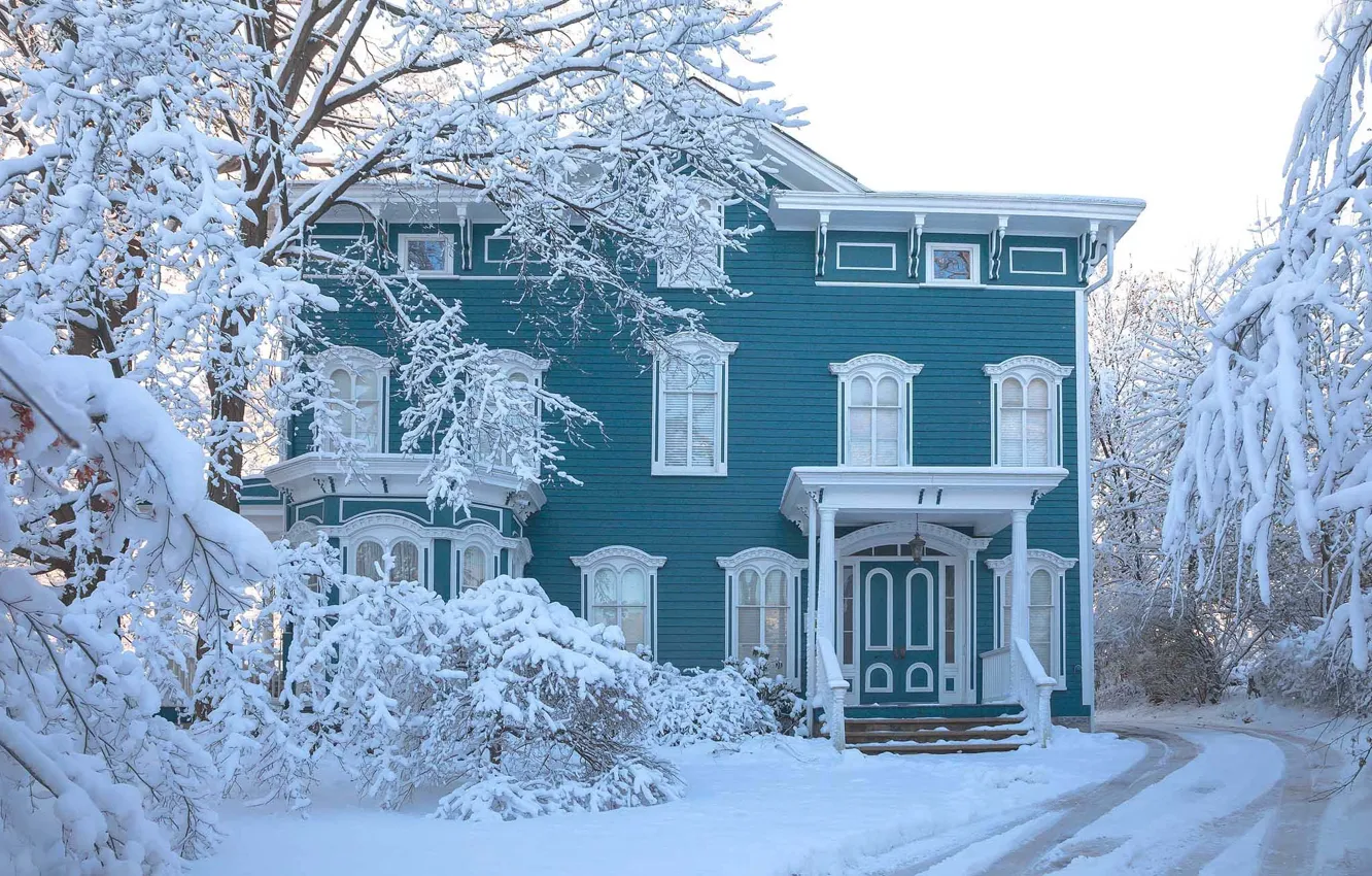 Photo wallpaper winter, road, snow, trees, landscape, nature, home, Antonina Janowska