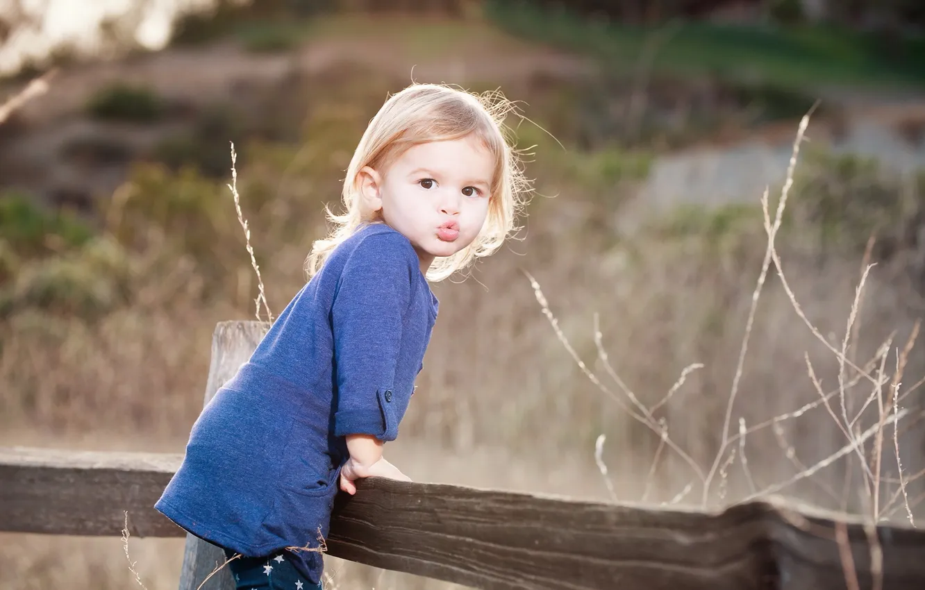 Photo wallpaper look, the fence, girl