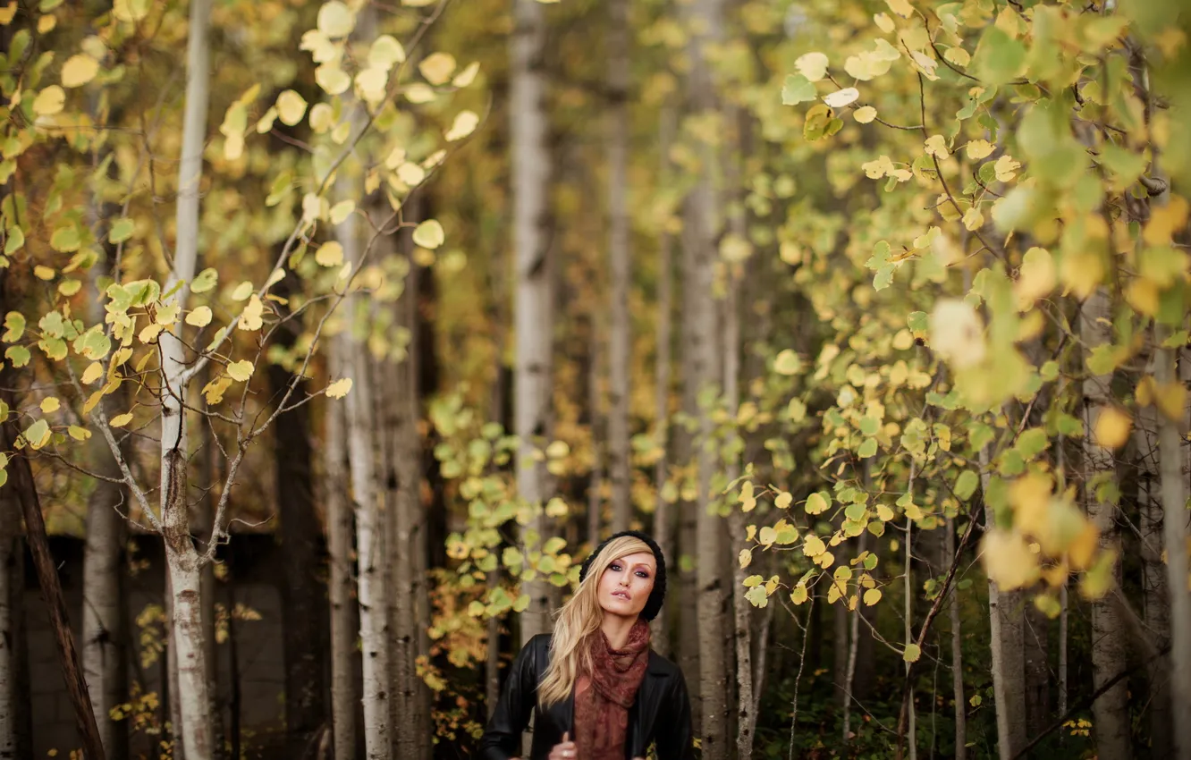 Photo wallpaper girl, trees, Lauren