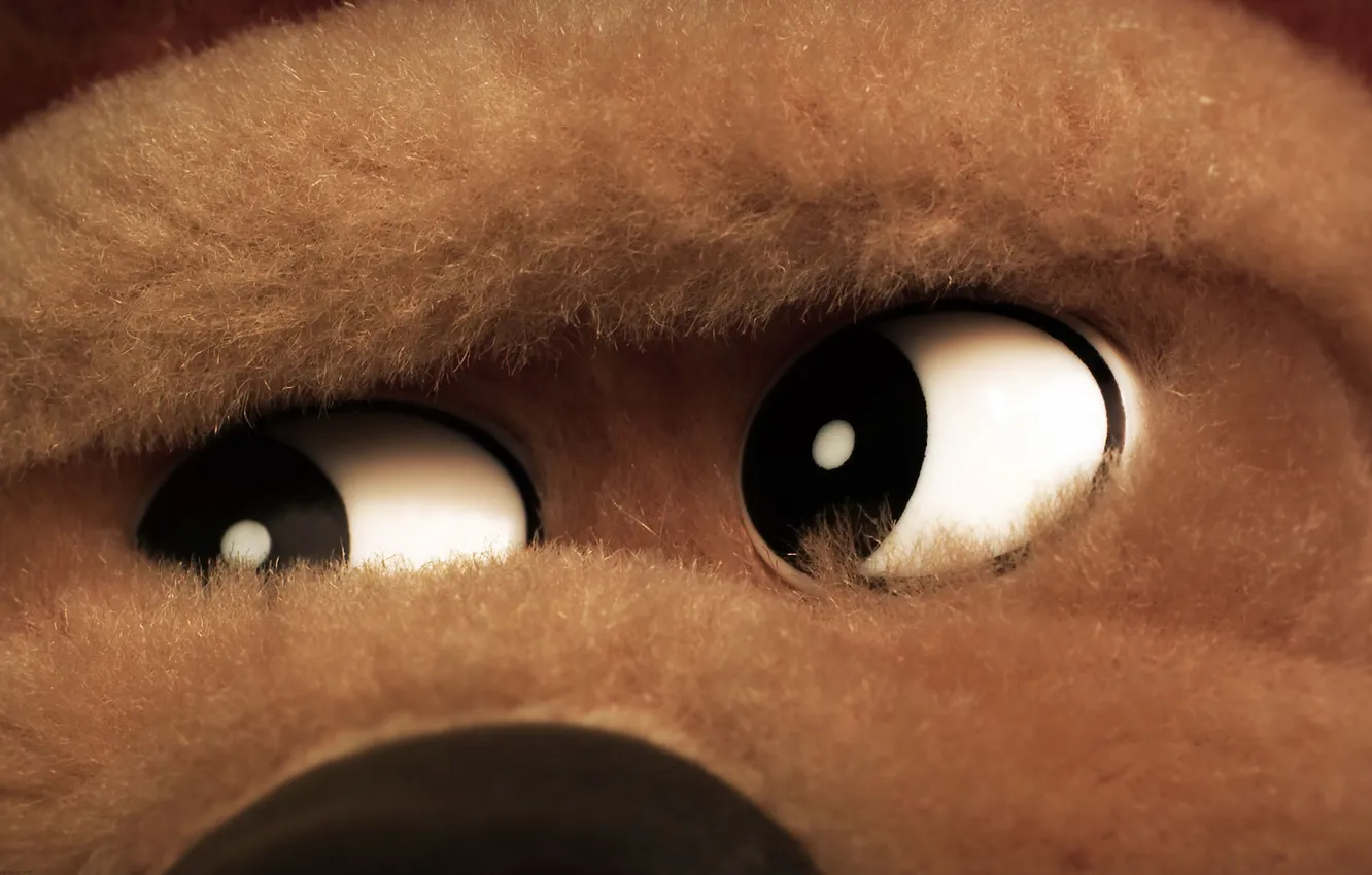 Photo wallpaper eyes, face, soft toy