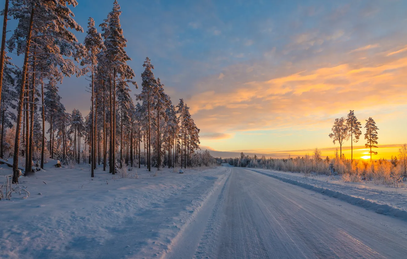 Photo wallpaper winter, road, snow, trees, sunrise, dawn, morning, pine