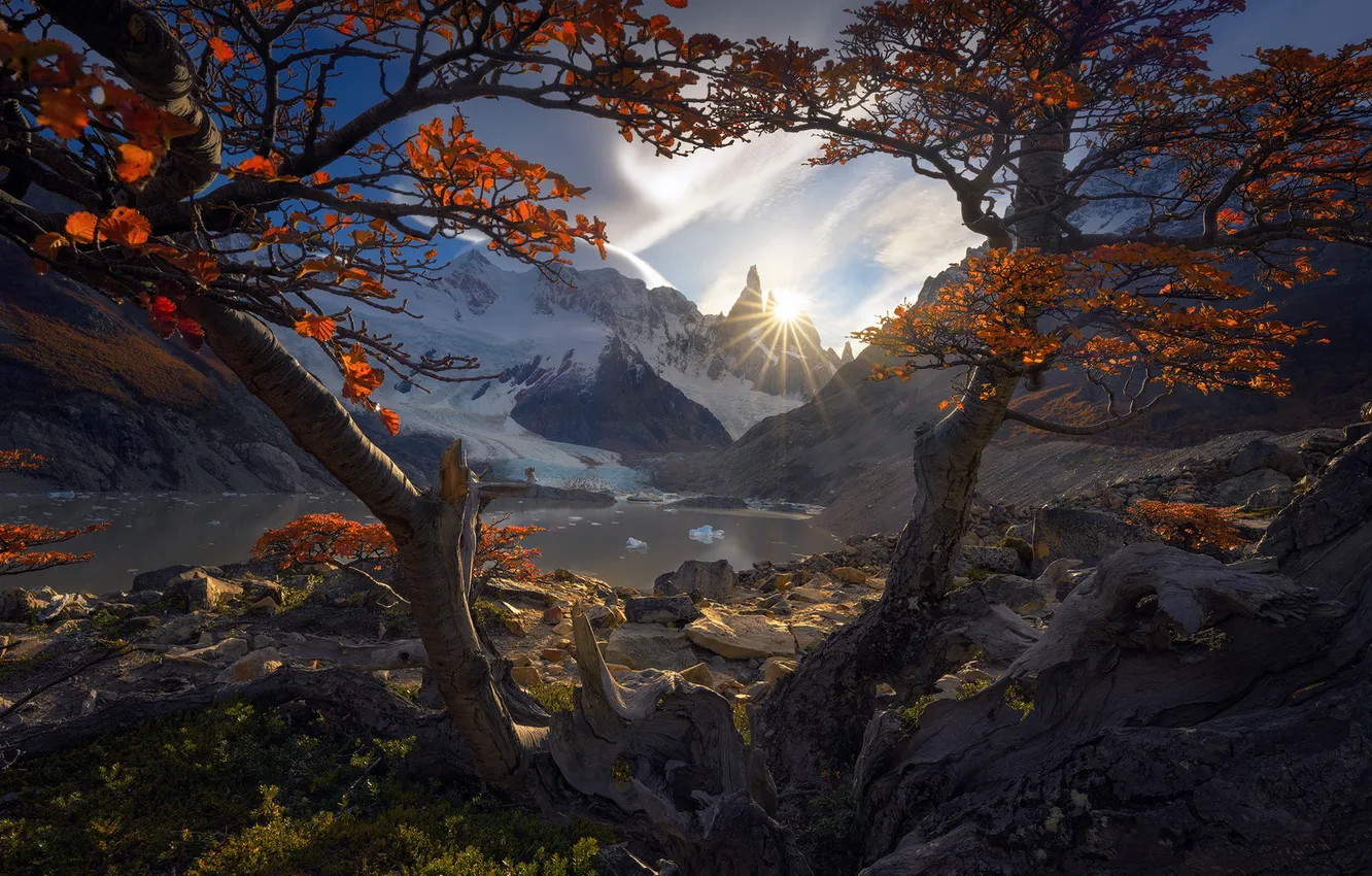 Photo wallpaper autumn, trees, mountains, Andes