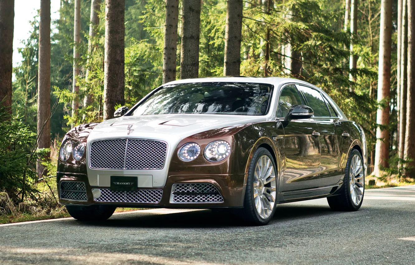 Photo wallpaper Bentley, Continental, Mansory, flying_spur_7
