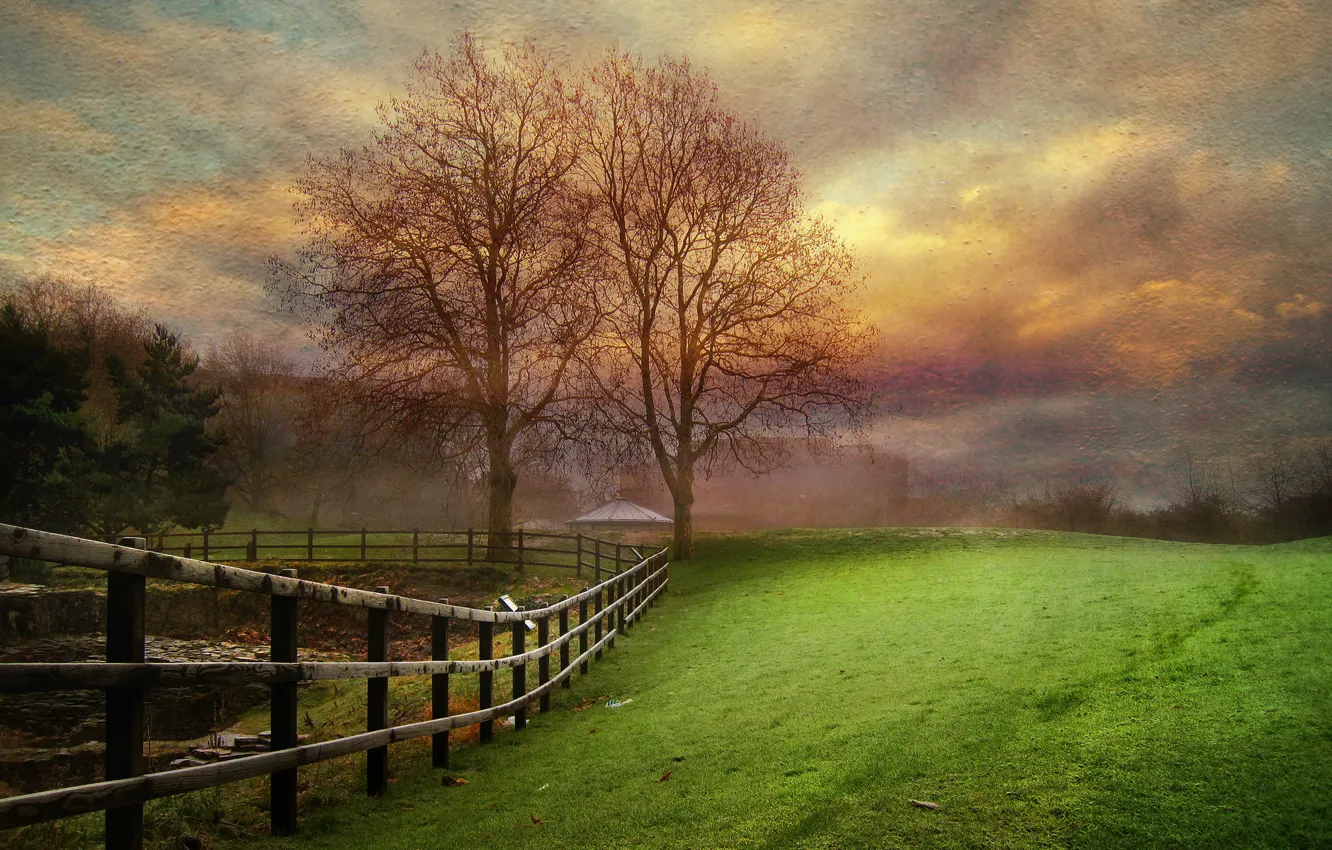 Photo wallpaper field, landscape, tree, the fence