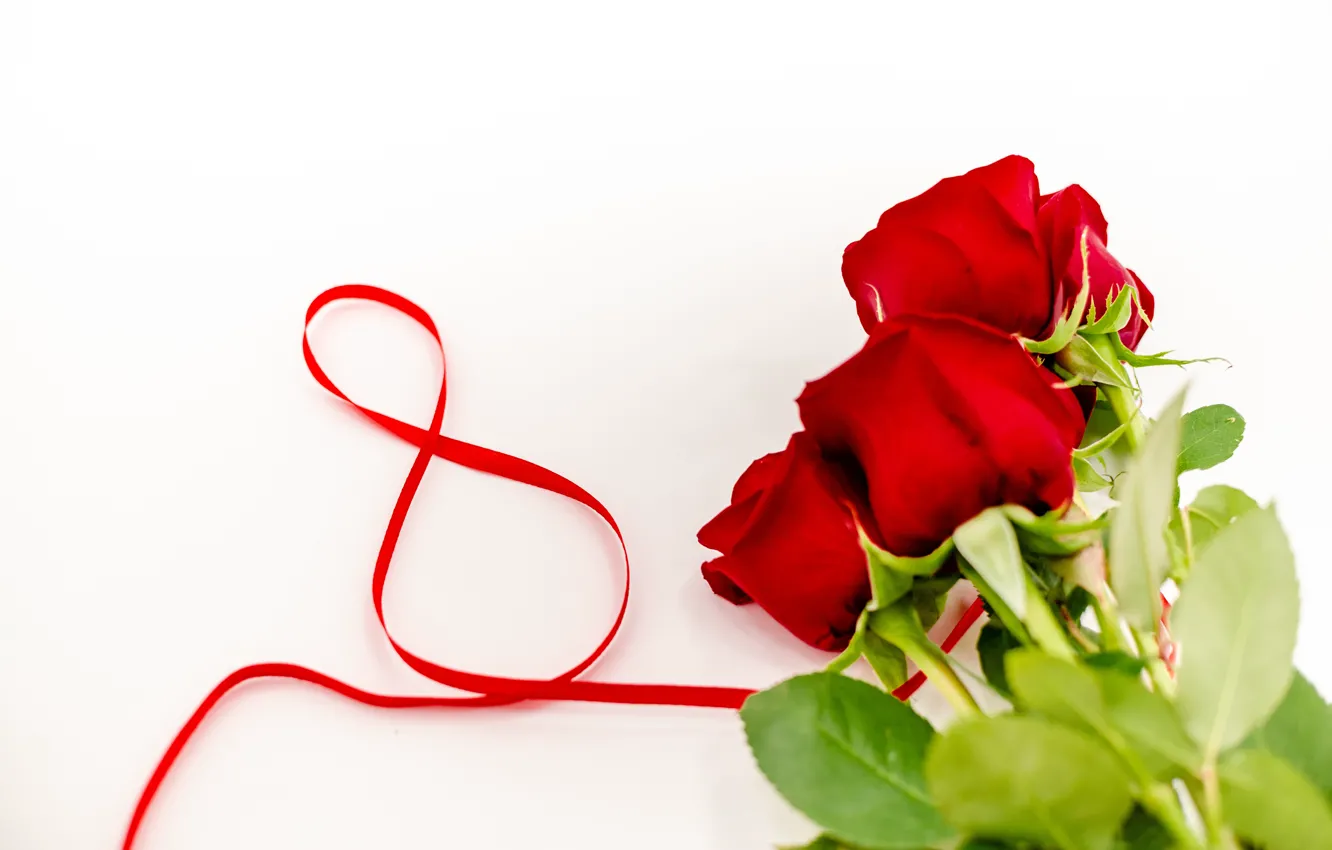 Photo wallpaper flowers, roses, tape, red, red, March 8, flowers, romantic