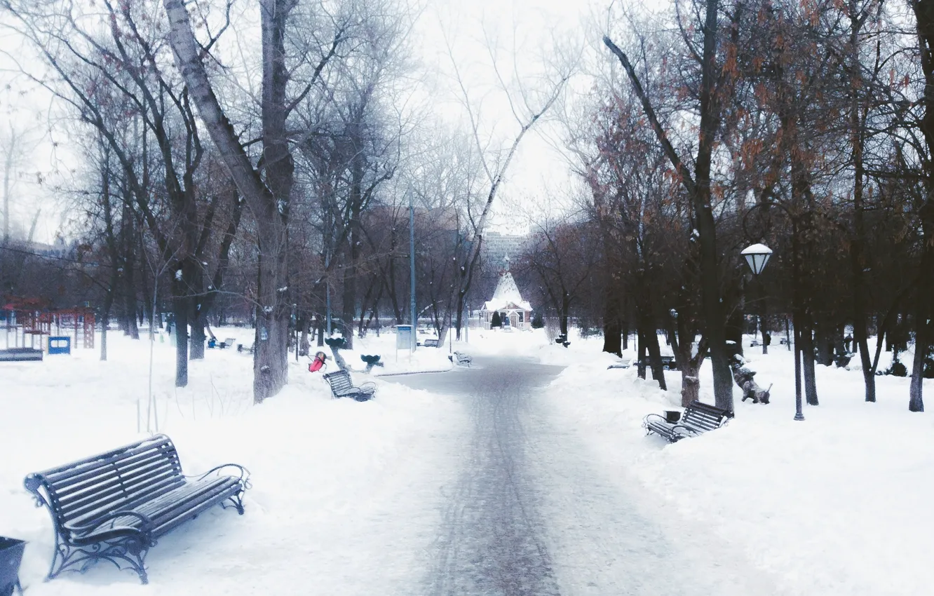Photo wallpaper Winter, Trees, Snow, Park, Square, Benches